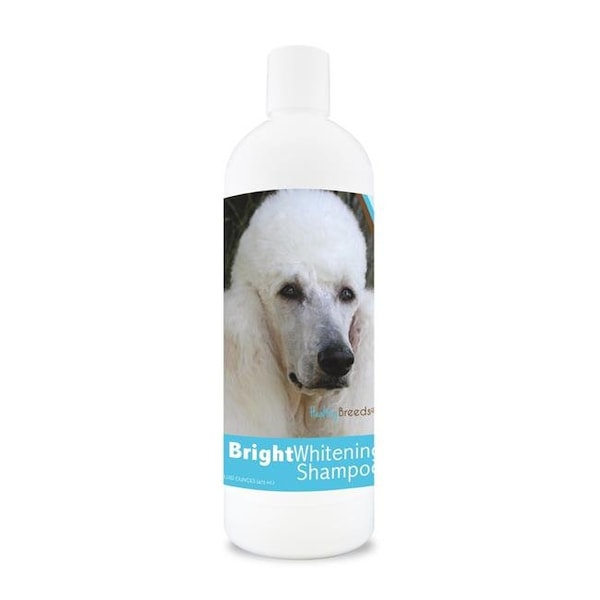 Healthy Breeds 840235112235 12 oz Poodle Bright Whitening Shampoo 840235112235 - main